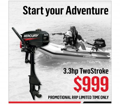 3.3hp TwoStroke
